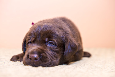 Similar image 22279451