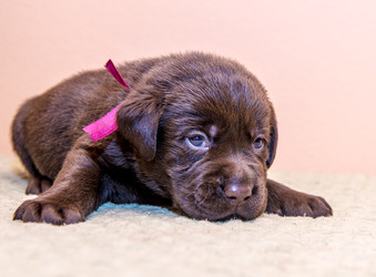 Similar image 22279556