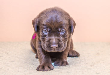 Similar image 22279557