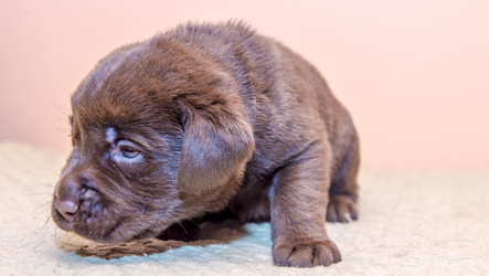 Similar image 22279560