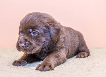 Similar image 22279561