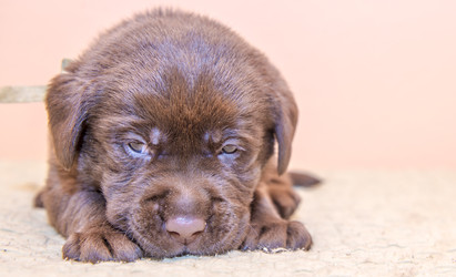 Similar image 22279562