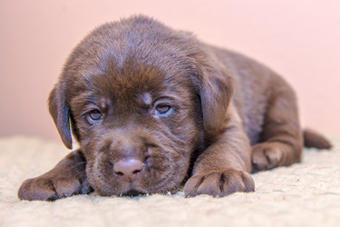 Similar image 22279563