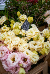 Similar image 22252082