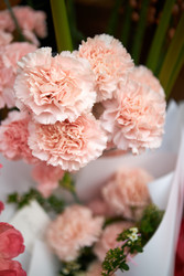 Similar image 22252085