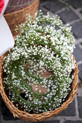 Similar image 22252086