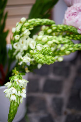 Similar image 22252087