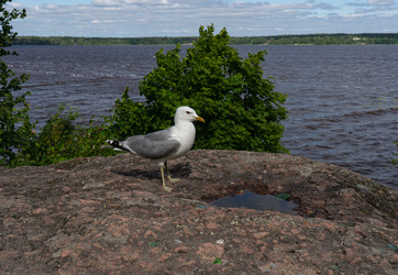 Similar image 22259853