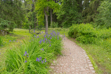 Similar image 22259854