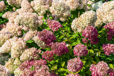 Similar image 22251507