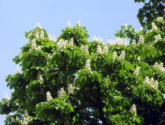 Similar image 22278489