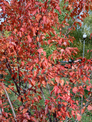 Similar image 22278509