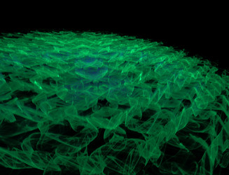 Similar image 22280575