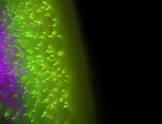 Similar image 22280582