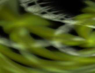 Similar image 22281009