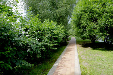 Similar image 22279124