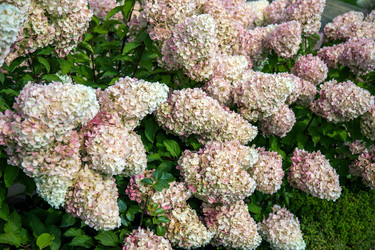 Similar image 22251508