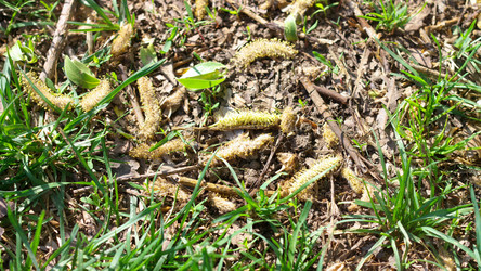 Similar image 22278782