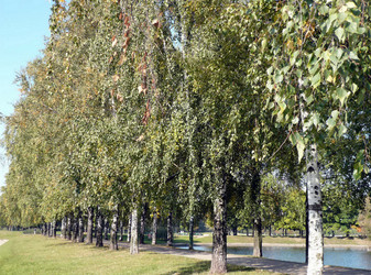 Similar image 22278783