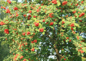 Similar image 22278786