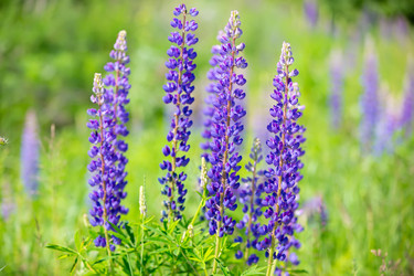 Similar image 22277229