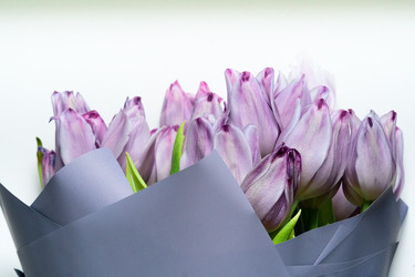 Similar image 22260272