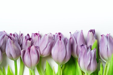 Similar image 22285476