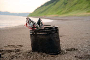 Similar image 22260274