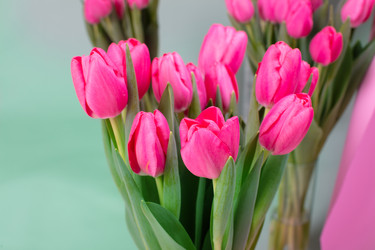 Similar image 22276988