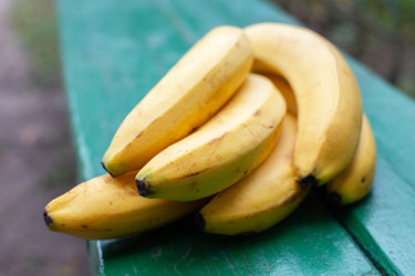 Similar image 22277267