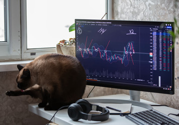 Similar image 22277274