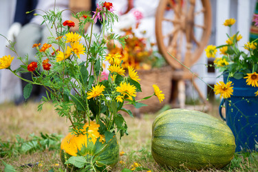 Similar image 22277284