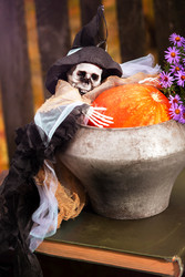 Similar image 22277292