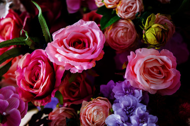 Similar image 22277698