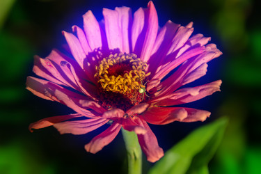 Similar image 22277699