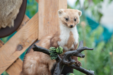 Similar image 22277009