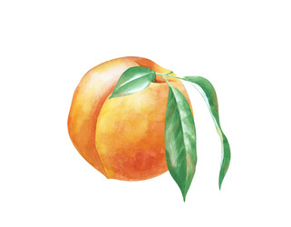 Similar image 22248777