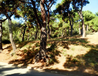 Similar image 22248722