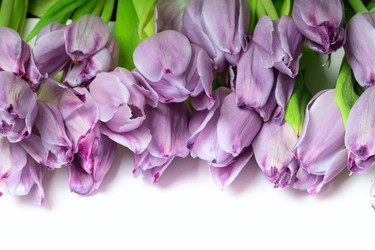 Similar image 22262146