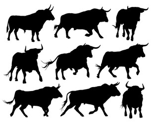 Similar image 22248778