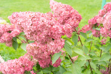 Similar image 22250789