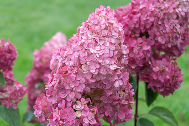 Similar image 22250790