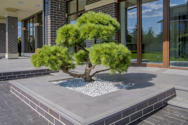 Similar image 22279294