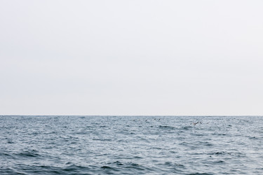 Similar image 22275790