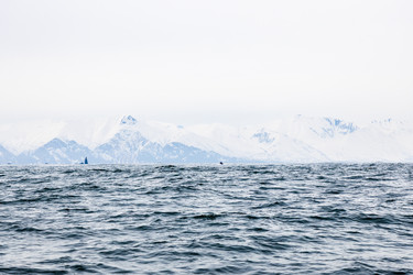 Similar image 22275791