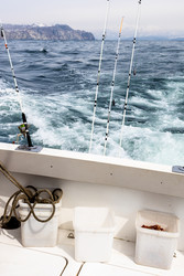 Similar image 22275793