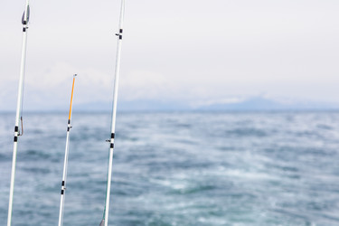 Similar image 22275794