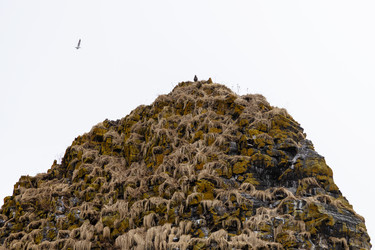 Similar image 22275796