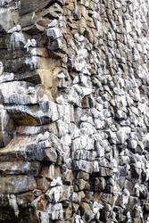 Similar image 22275800