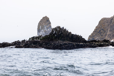 Similar image 22275801